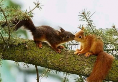 Screenshot 2026-01-21 at 09-57-38 ecd4da819ca11258239340a2bb97abc6.jpg (JPEG-Grafik 720 × 480 Pixel).png