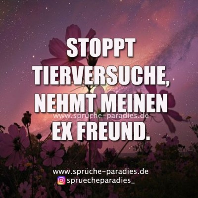 9ce5a2e582a0e76cab42db77c605a763.jpg