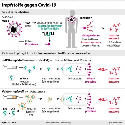 infografik-impfstoffe-covid-19.jpg