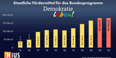 Screenshot 2025-09-02 at 21-00-56 Meldestellen Förderprogramme linke Lobbygruppen NIUS.de.png